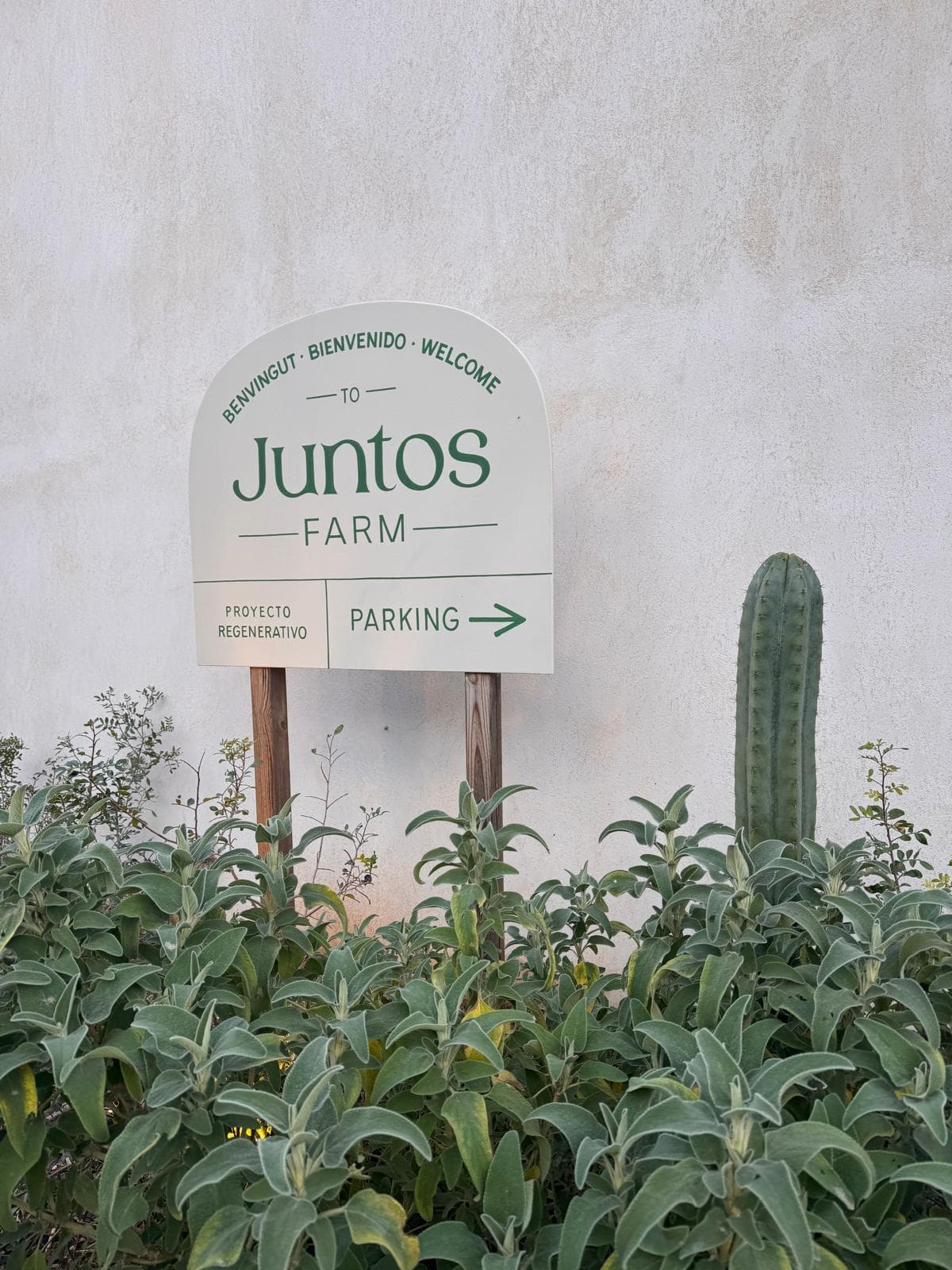 20 Child-Friendly Restaurants in Ibiza