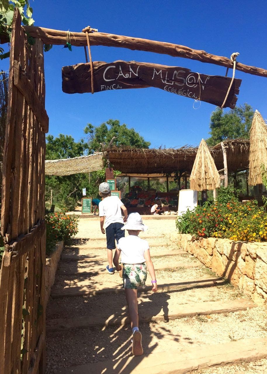 What's On for Families in Ibiza: 24–31 August